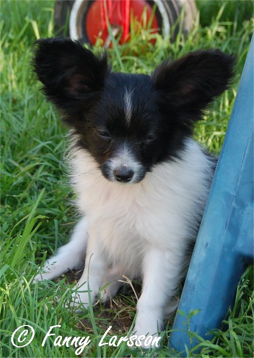 Zeus
