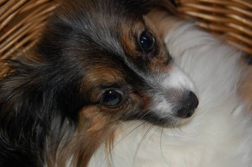 Winnie
